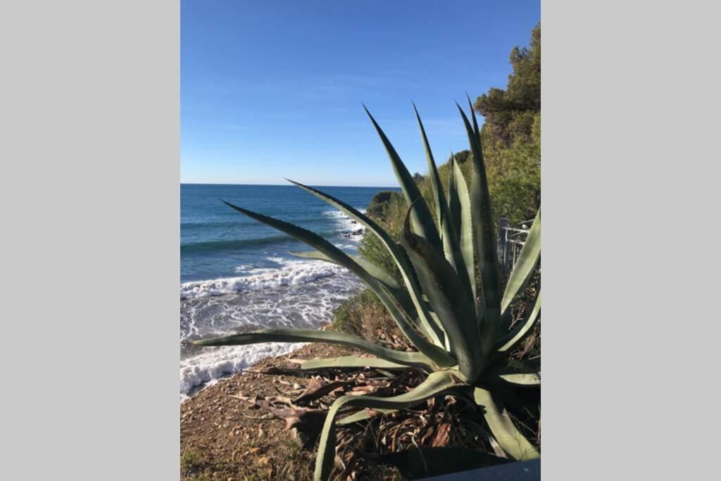 La Petite Pinede Studio Climatise Proche Plage ซานารี-ซูร์-แมร์ ภายนอก รูปภาพ